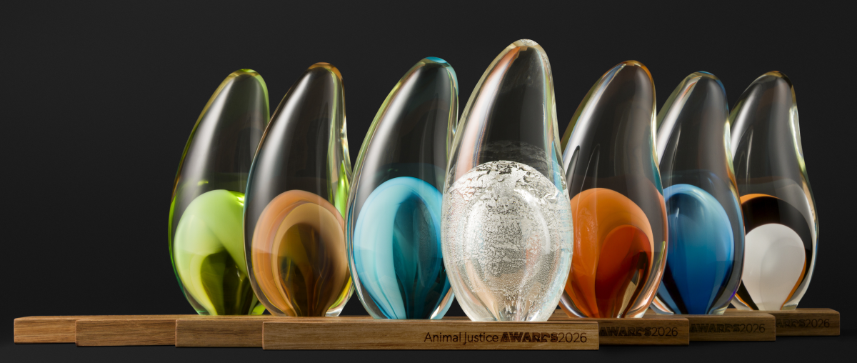 Animal Justice Foundation (AJF)